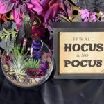 Hocus Pocus Terrarium